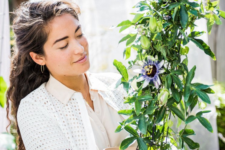 Consument positiever over bloemen en planten