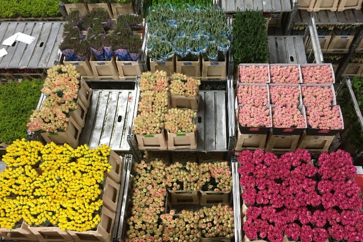 Opschorting heffingen VK op bloemen van buiten EU