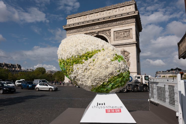 Enorme rugbybal van chrysanten in Parijs  