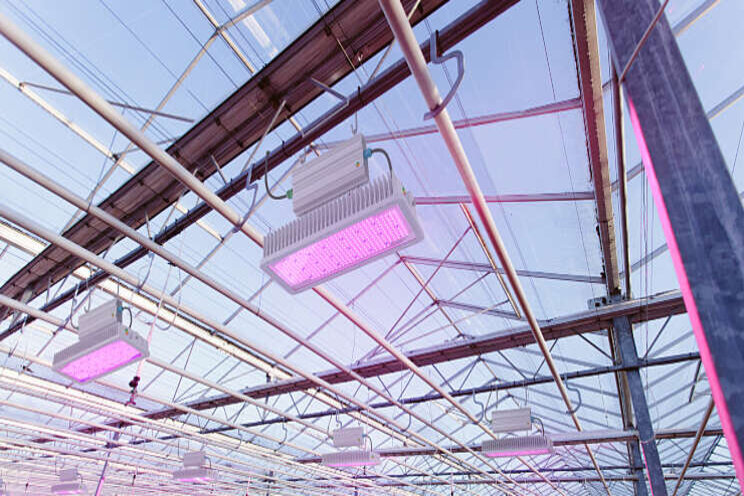 Webinar GreenTech en Hortilux op 15 juni Webinar GreenTech en Hortilux op 15 juni