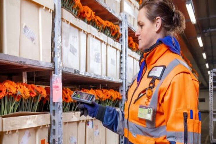 Royal FloraHolland beperkt vrije toegang koelcellen Royal FloraHolland beperkt vrije toegang koelcellen