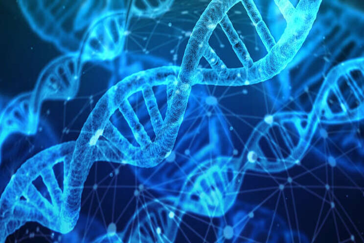Bejo gaat CRISPR-Cas9 gebruiken in onderzoek Bejo gaat CRISPR-Cas9 gebruiken in onderzoek