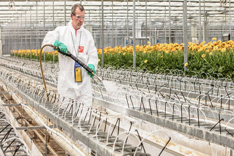 'Effectief schimmels doden met schuimdesinfectie' 'Effectief schimmels doden met schuimdesinfectie'