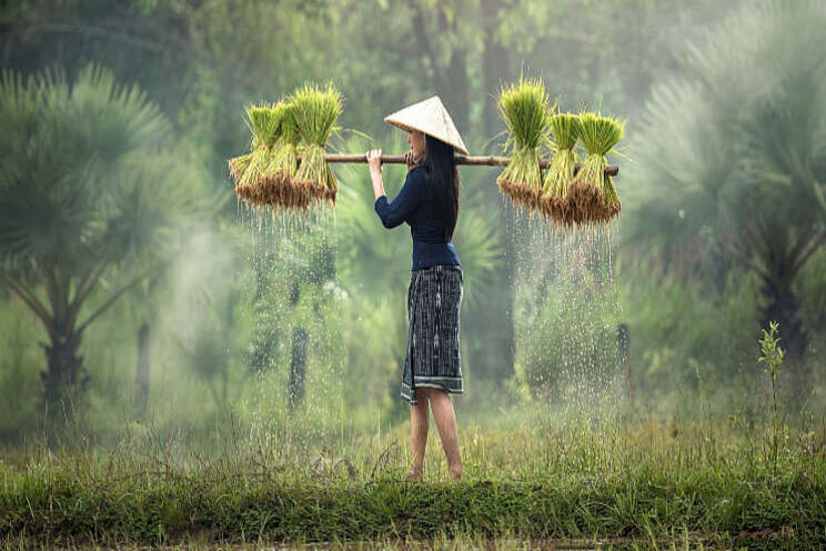 Jungle Talks to the World - Vietnam Jungle Talks to the World - Vietnam