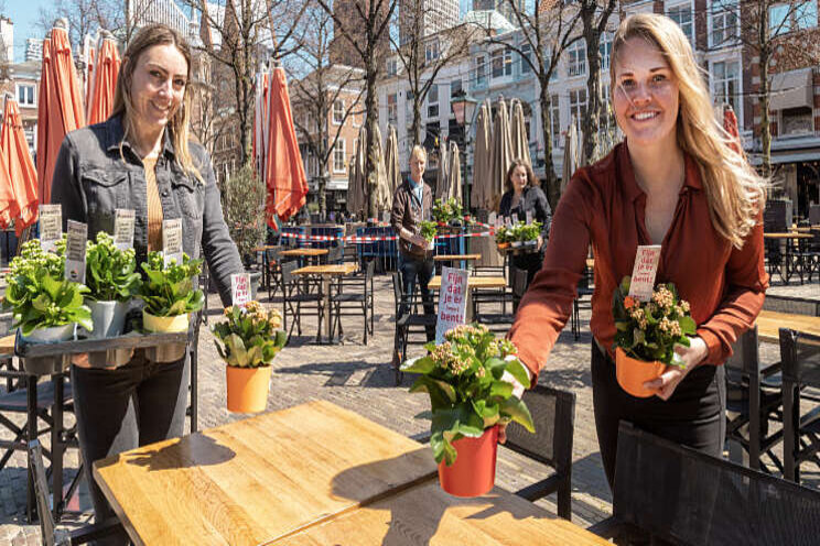Kalanchoës op tafel bij de horeca Kalanchoës op tafel bij de horeca
