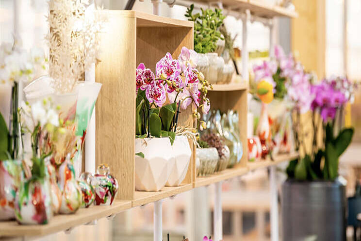 Orchid Inspiration Days te bezoeken op afspraak Orchid Inspiration Days te bezoeken op afspraak