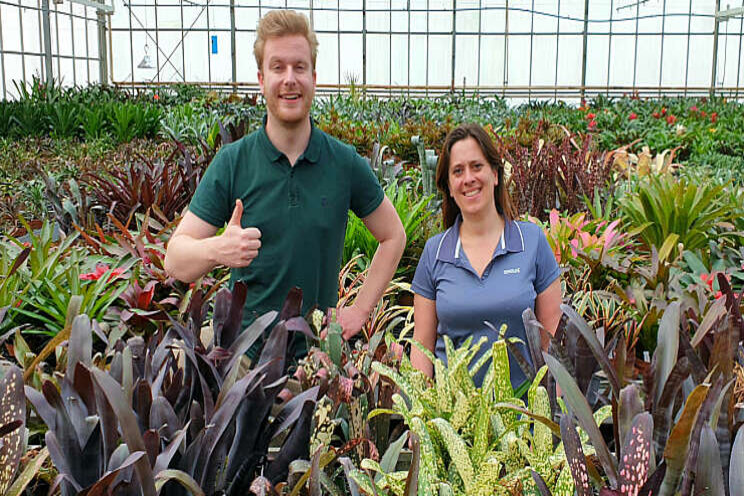 Deroose Plants zet software Mercado wereldwijd in Deroose Plants zet software Mercado wereldwijd in
