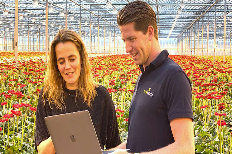 Dubbele mijlpaal FreshPortal Dubbele mijlpaal FreshPortal