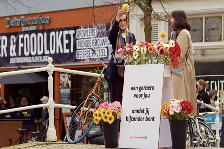 Video: Gerbera's kleuren het straatbeeld in Delft Video: Gerbera's kleuren het straatbeeld in Delft