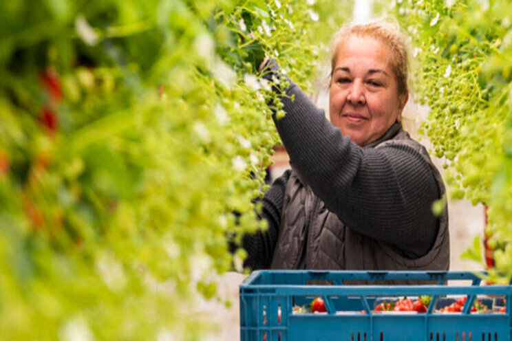 'Te weinig nieuwe huizen voor arbeidsmigranten' 'Te weinig nieuwe huizen voor arbeidsmigranten'