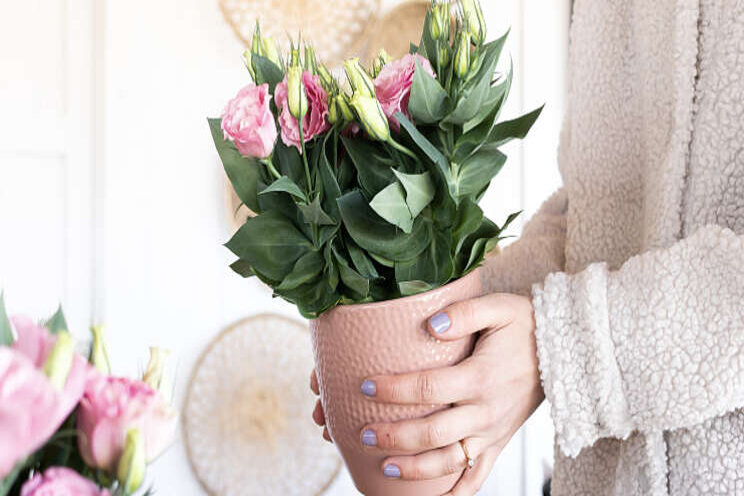 Dubbelbloemige potlisianthus Dubbelbloemige potlisianthus