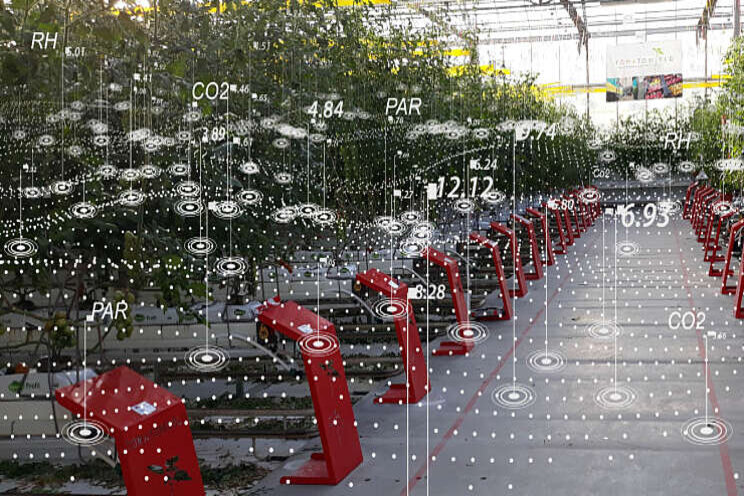 Tomatoworld wordt 'data driven' fieldlab Tomatoworld wordt 'data driven' fieldlab