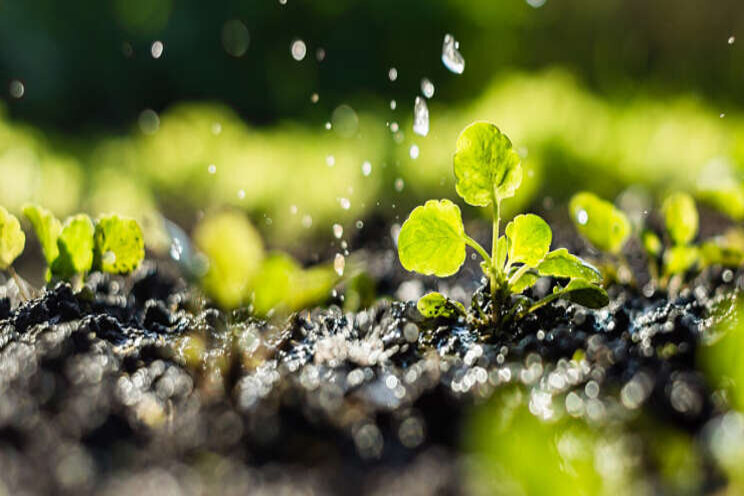 Oproep voor PPS-projecten Landbouw, Water, Voedsel Oproep voor PPS-projecten Landbouw, Water, Voedsel