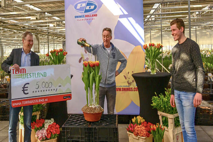 Tulp 'Tourmalet' gedoopt Tulp 'Tourmalet' gedoopt