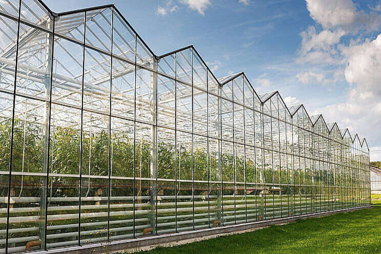 Groen Label Kas stimuleert verduurzaming tuinbouw Groen Label Kas stimuleert verduurzaming tuinbouw