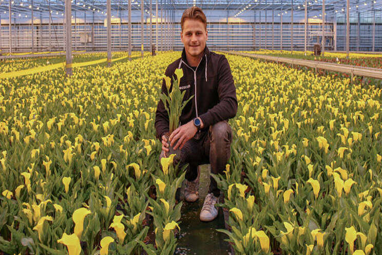 Vreugdenhil Bulbs & Plants breidt salesteam uit Vreugdenhil Bulbs & Plants breidt salesteam uit