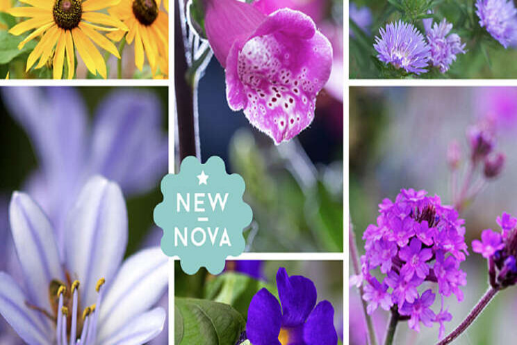 AltaNova start seizoen met 6 nieuwe producten AltaNova start seizoen met 6 nieuwe producten