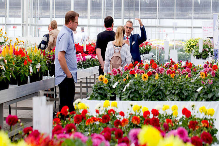 FlowerTrials voorzichtig positief over fysiek event FlowerTrials voorzichtig positief over fysiek event