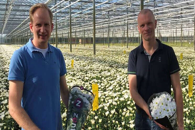 Van Geel Chrysanten sluit zich aan bij Zentoo Van Geel Chrysanten sluit zich aan bij Zentoo