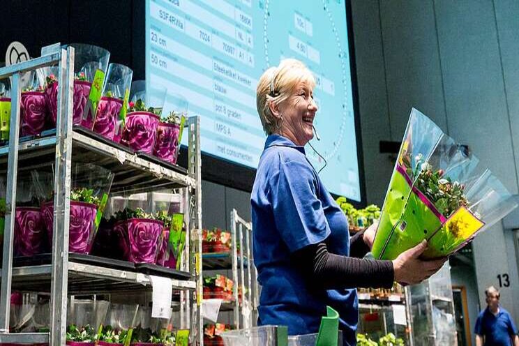 Weekrecord FloraHolland Weekrecord FloraHolland