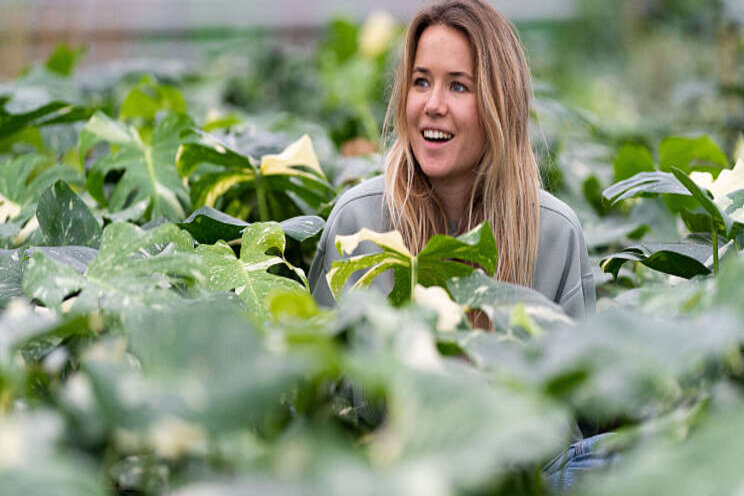 Nieuw sierteeltplatform: Planthunters.nl Nieuw sierteeltplatform: Planthunters.nl