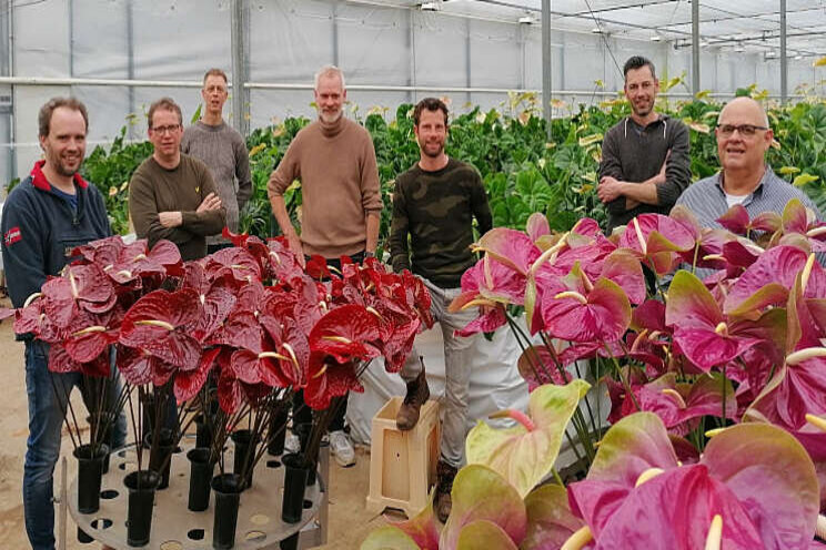 Samenwerking tussen XAnthu en IFN Samenwerking tussen XAnthu en IFN