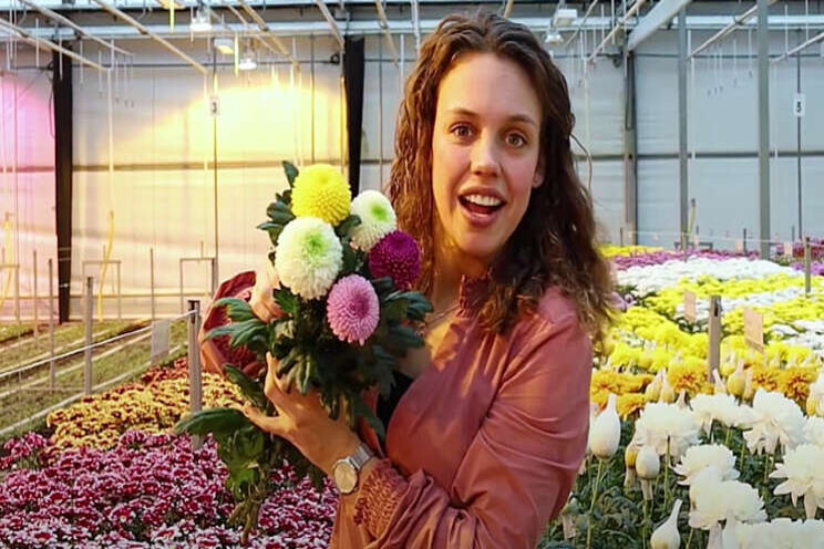 Video: Chrysanthemum Valley digitaal! Video: Chrysanthemum Valley digitaal!