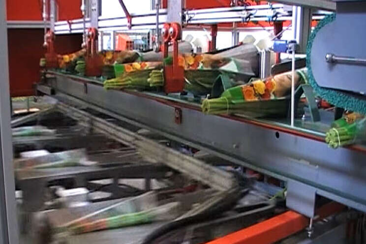 Van Dillewijn Group neemt Terra International over Van Dillewijn Group neemt Terra International over