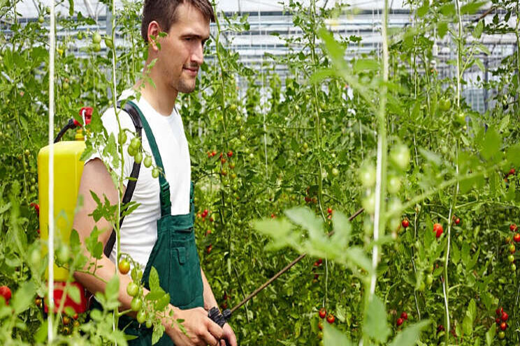 Opleiding Teeltexpert start op 9 februari in Delft Opleiding Teeltexpert start op 9 februari in Delft