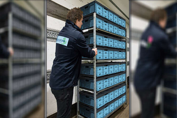 Sierteeltbedrijven kiezen kunststof bloemenbox Sierteeltbedrijven kiezen kunststof bloemenbox