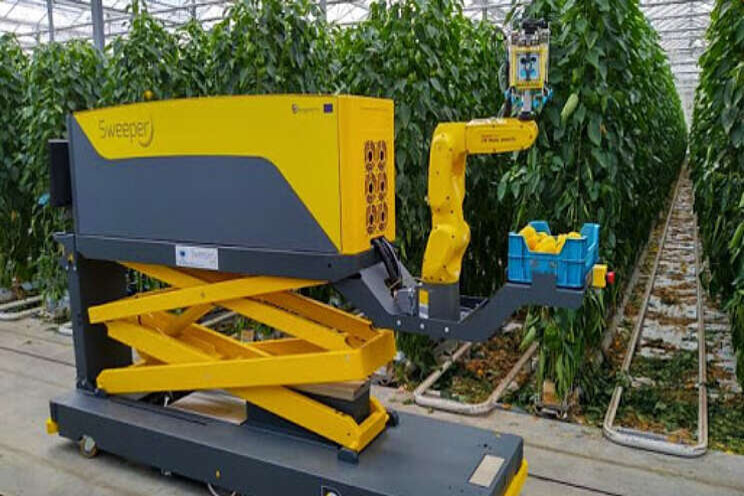 RoboCrops wil robotica in tuinbouw versnellen RoboCrops wil robotica in tuinbouw versnellen
