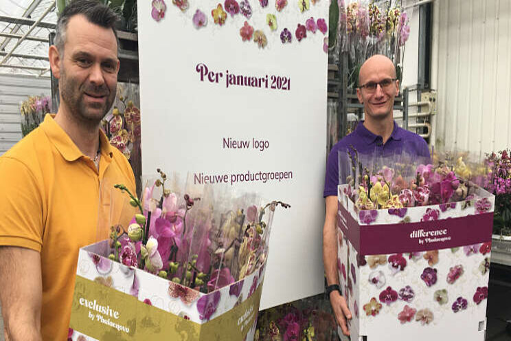 Nieuwe productgroepen kwekerij Phalaenova Nieuwe productgroepen kwekerij Phalaenova
