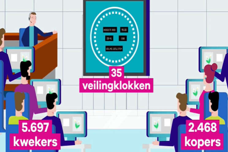 Video: Omgaan met excessen Video: Omgaan met excessen