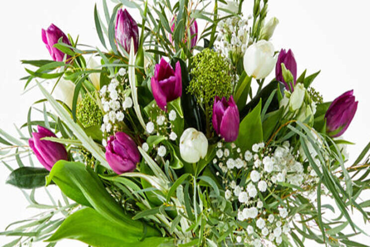 Fleurop signaleert grote vraag naar tulpen Fleurop signaleert grote vraag naar tulpen