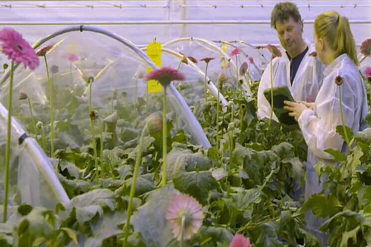 Demokwekerij en Proeftuin nu Vertify Demokwekerij en Proeftuin nu Vertify