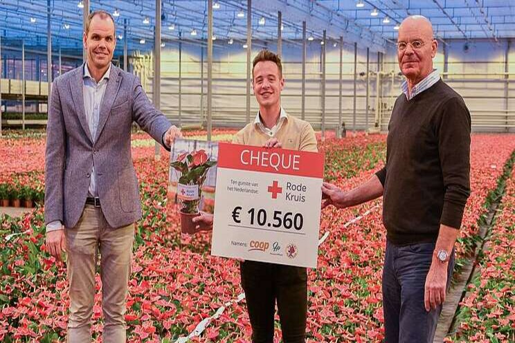 Houwenplant en Coop steunen corona-aanpak Rode Kruis Houwenplant en Coop steunen corona-aanpak Rode Kruis