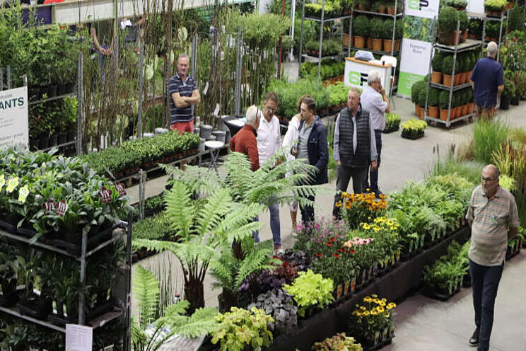 Geen fysieke FLORALL Geen fysieke FLORALL