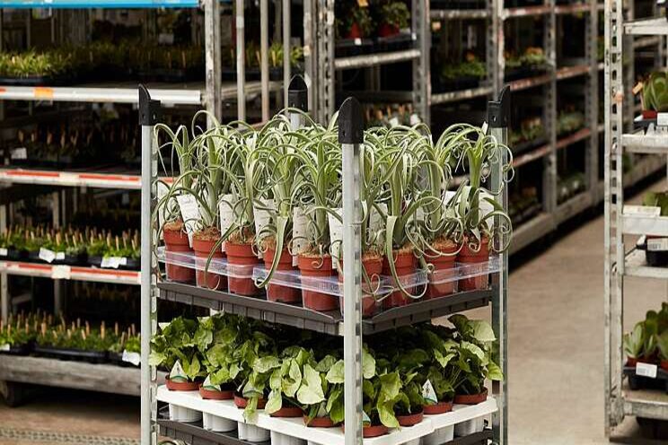 Duurzame ladingdrager ingezet als plantcontainer Duurzame ladingdrager ingezet als plantcontainer