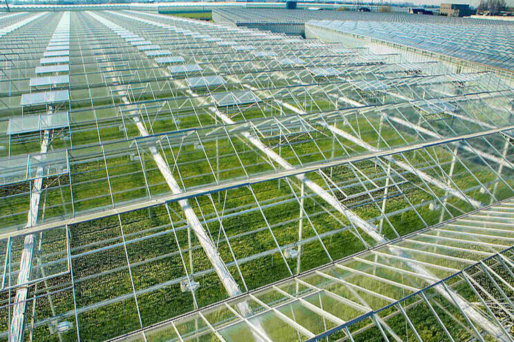 Impact corona op agrosector in kaart Impact corona op agrosector in kaart