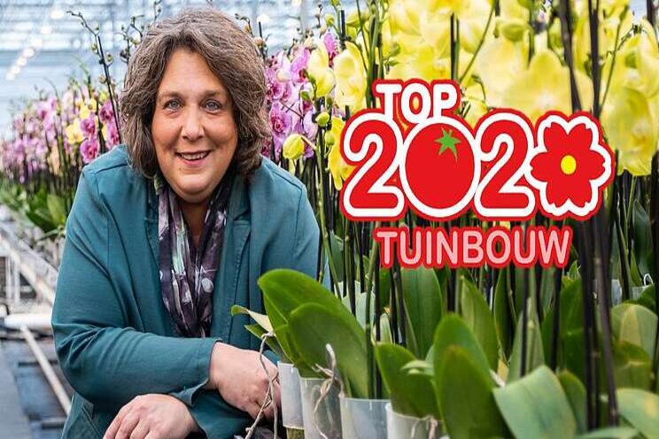 Wat is de top 10 van LG Flowers en de top 4 van Vreugdenhil? Wat is de top 10 van LG Flowers en de top 4 van Vreugdenhil?