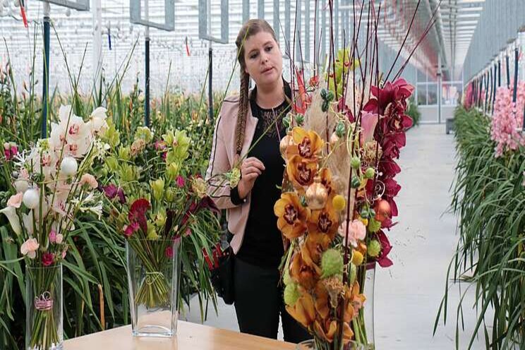 Cymbidium Inspiration Box Cymbidium Inspiration Box