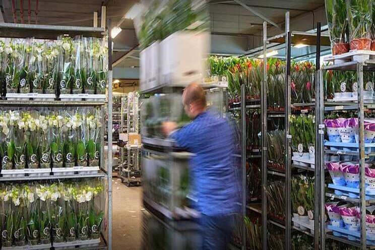 Noviflora breidt uit Noviflora breidt uit