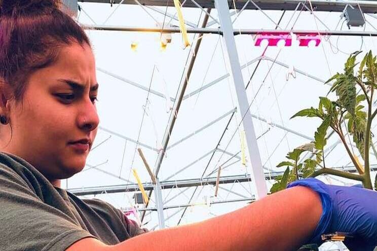 Stagiare Dilara onderzoekt LED bij CombiVliet Stagiare Dilara onderzoekt LED bij CombiVliet