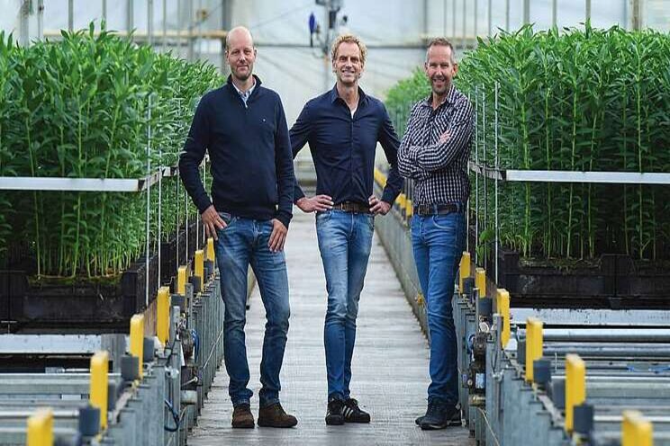 Leliekwekerijen gaan samen verder Leliekwekerijen gaan samen verder