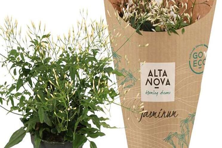 AltaNova lanceert GO ECO AltaNova lanceert GO ECO