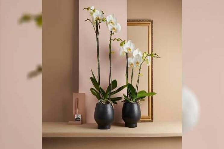 Nieuw label Opti-flor Nieuw label Opti-flor