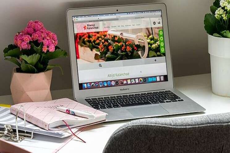 'Always Kalanchoë'-kwekers nu allemaal FSI-proof 'Always Kalanchoë'-kwekers nu allemaal FSI-proof