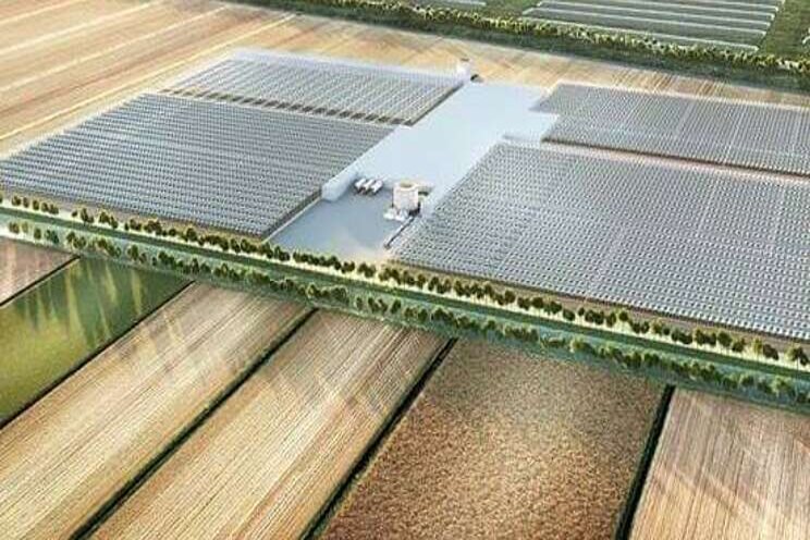 Aanwezig in Azië met Denso AgriTech Solutions Aanwezig in Azië met Denso AgriTech Solutions