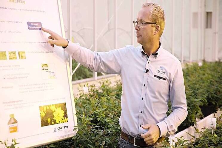 Video: Bestrijding van rups Video: Bestrijding van rups