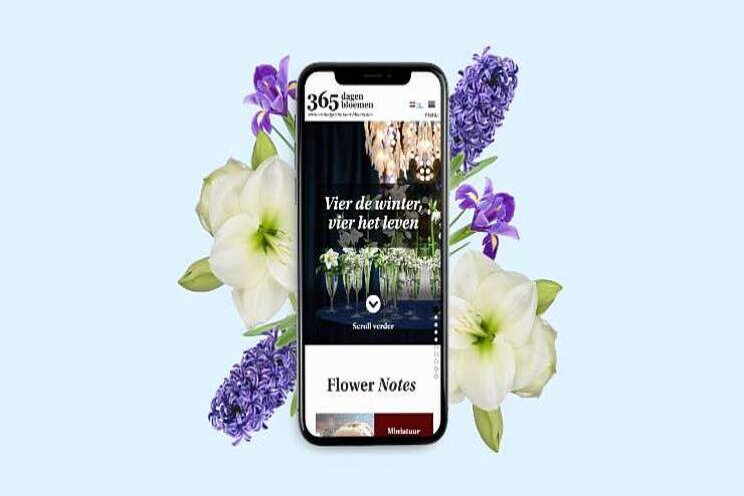 365 dagen bloemen-winter nu online beschikbaar 365 dagen bloemen-winter nu online beschikbaar